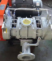 YLSR125L不銹鋼羅茨風(fēng)機(jī)