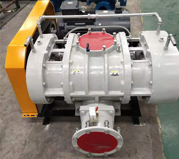 YLSR200L不銹鋼羅茨風(fēng)機(jī)