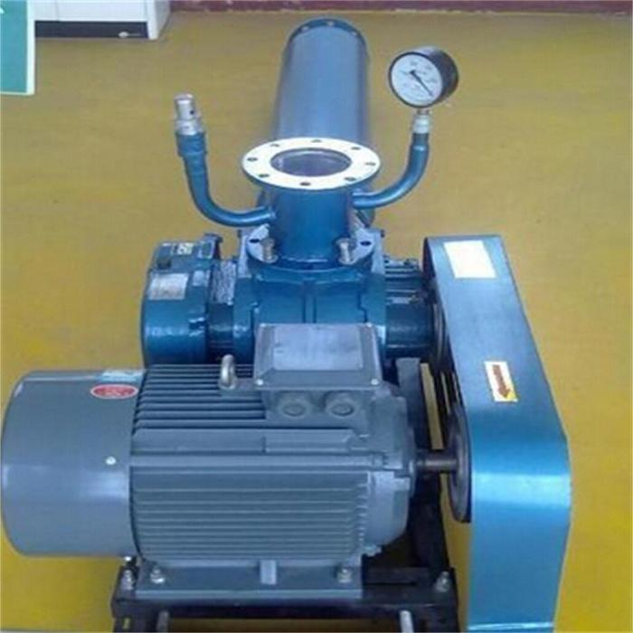 YLFR100F羅茨真空泵