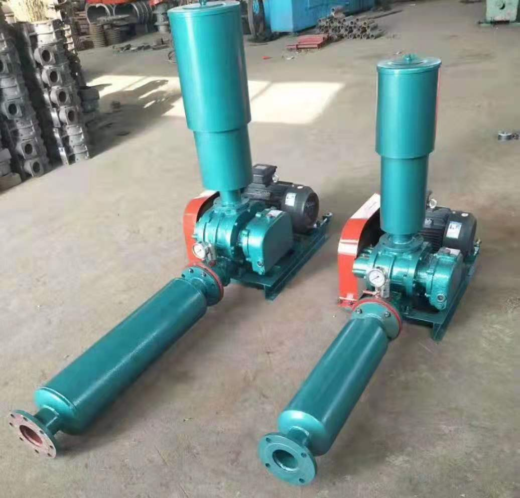 YLSR100羅茨鼓風(fēng)機(jī)