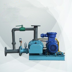 沼氣羅茨風(fēng)機(jī)