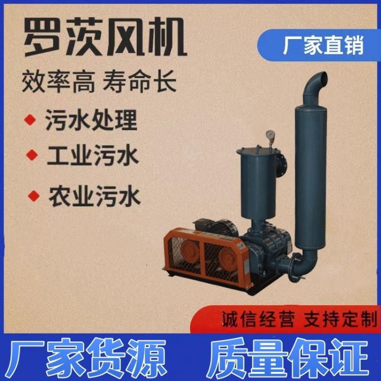 長距離氣力輸送羅茨風(fēng)機的選型要點