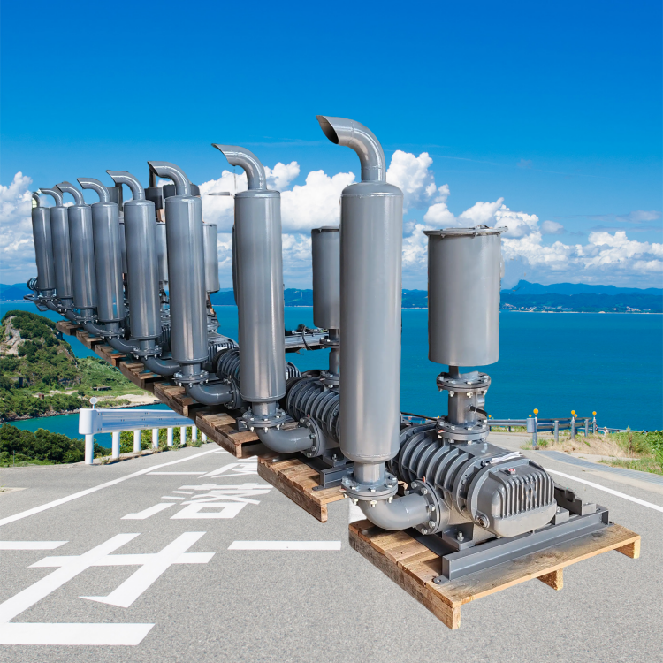 羅茨風(fēng)機(jī)，高效節(jié)能，支持定制，就找山東勇龍